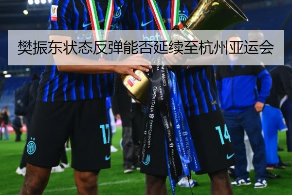 樊振东状态反弹能否延续至杭州亚运会